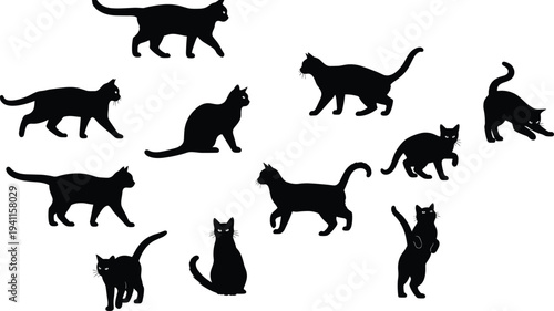 Black cat silhouettes, feline posture illustration, walking sitting stretching standing vector, domestic animal graphic design, pet outline art collection