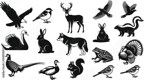 Black silhouette animal icons, birds mammals wildlife collection, nature vector illustration, forest creatures design elements, zoology graphics for decoration