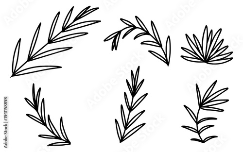 A collection of simple, hand-drawn line art illustrations of various green plant sprigs and leaves, presented in black and white.