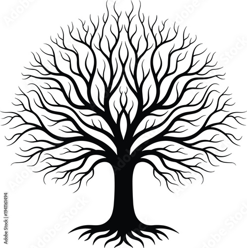 Flavector intricate black silhouette of a leafless tree with sprawling branches and roots isolated on white background for nature design.