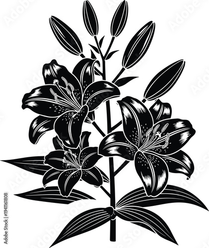 Black silhouette lily flower vector illustration with blooming lily petals and floral buds isolated on white background for nature design