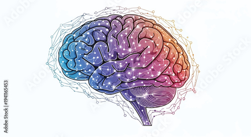 Human brain with neural network and digital connections illustration