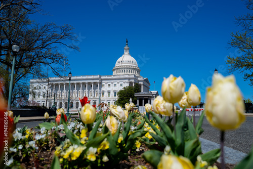 Cuadro en lienzo Capitol Hill iconic architecture dome