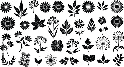 Large collection of black floral and leaf silhouettes including daisy flowers, garden herbs, and botanical elements isolated on white background,