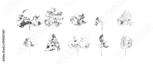 Ten black and white ink of various trees and foliage ink trees branches leaves