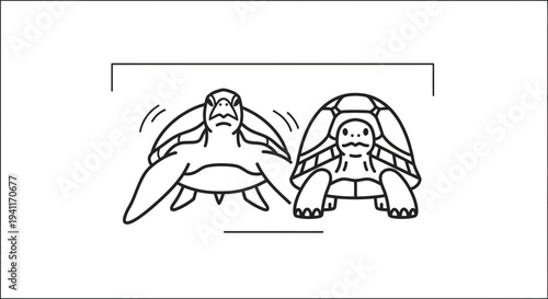 Comparing the unique characteristics of aquatic sea turtles and slow moving land tortoises in