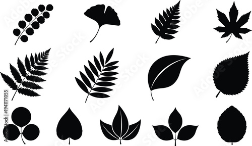Set of leaf silhouettes, forest tree foliage icons including maple and fern, vector nature plant symbols for organic botanical design, eco.