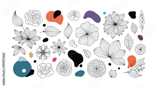 Large assortment of delicate line art flowers leaves and abstract blobs in various colors for creative compositions.