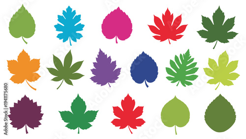 Colorful assortment of various leaf silhouettes in a wide range of rainbow hues for autumn and nature themes.