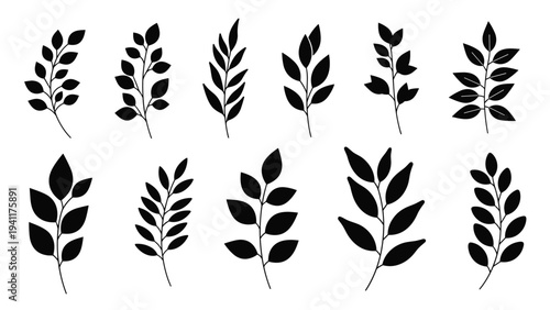 Collection of twelve black silhouettes of different leafy branches and twigs featuring various leaf shapes for nature themed design elements.