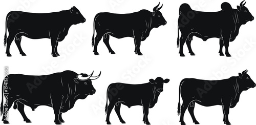 Cattle silhouettes in diverse breeds, horn variations, livestock posture comparison, farm animals illustration, agricultural design, rural nature vector collection