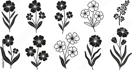 A collection of nine different types of flowers in black and white illustrations on a white background