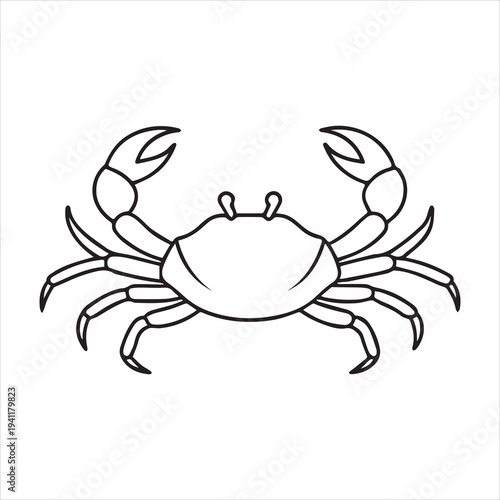 Crabs line art vector illustration. EPS File
