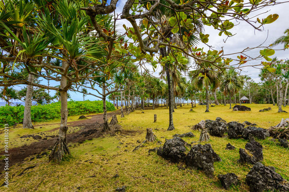 Fototapeta premium Tropical vegetation along Cap Mechant coast at Reunion Island