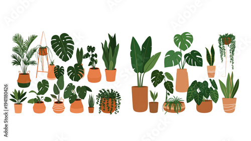 Indoor Potted Houseplants Vector Collection