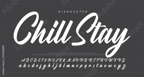 Script Brush Font Type Font lettering handwritten. vector illustration