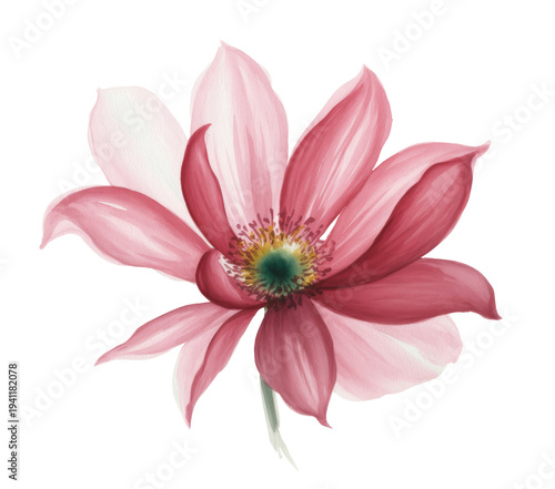Pink flower watercolor painting, a botanical art piece with delicate petals and vibrant bloom.