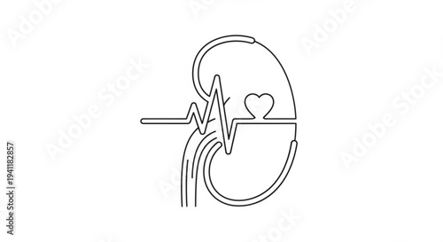 Kidney with heartbeat line and heart symbol representing health and medical concepts in a simple line drawing