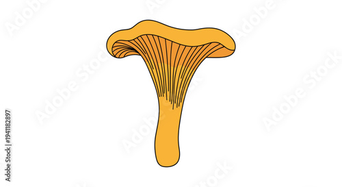 Detailed illustration of a golden chanterelle mushroom on white background for nature and forest foraging themes.