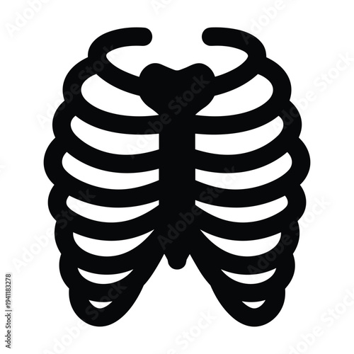 Human rib cage anatomy illustration