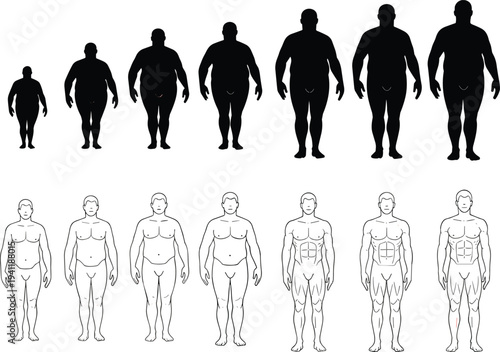 Male body silhouettes showing physique spectrum, lean to obese figures, muscular definition progression, fitness transformation, health composition illustration design
