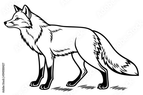 Fox Coloring Book Page Vector Illustration – Black White Bold Line Art, Printable A4, SVG Style, Isolated on White Background