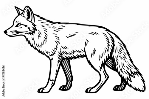 Fox Coloring Book Page Vector Illustration – Black White Bold Line Art, Printable A4, SVG Style, Isolated on White Background