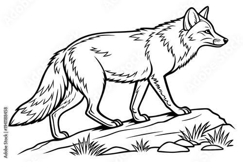Fox Coloring Book Page Vector Illustration – Black White Bold Line Art, Printable A4, SVG Style, Isolated on White Background