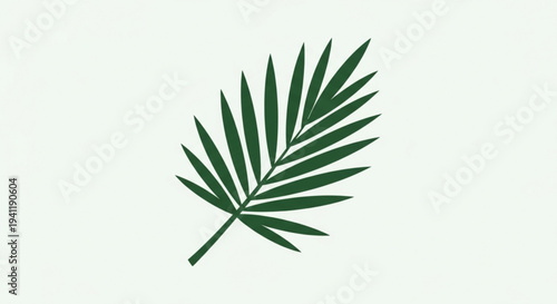 Dark green palm leaf on light background symbolizing nature and relaxation with a simple and elegant design