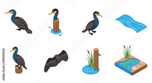 Isometric cormorant bird poses and water elements set for nature designs