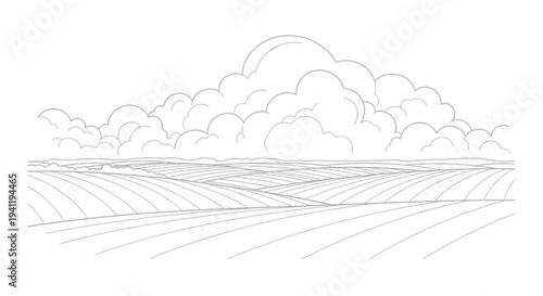 Rows of agricultural farmland landscape sketch.