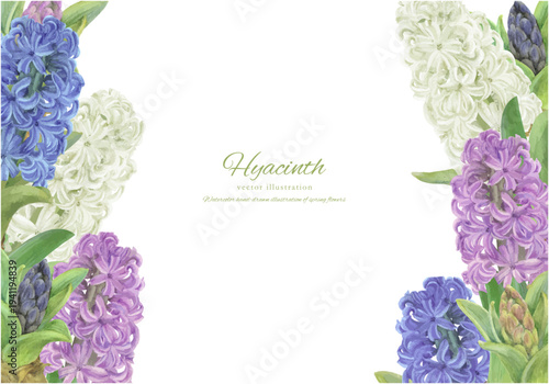 水彩で描いたヒヤシンスの手書きイラスト