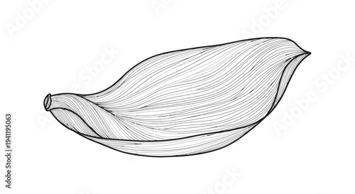 Graceful undulating lines create a captivating organic form in this minimalist hand-drawn design