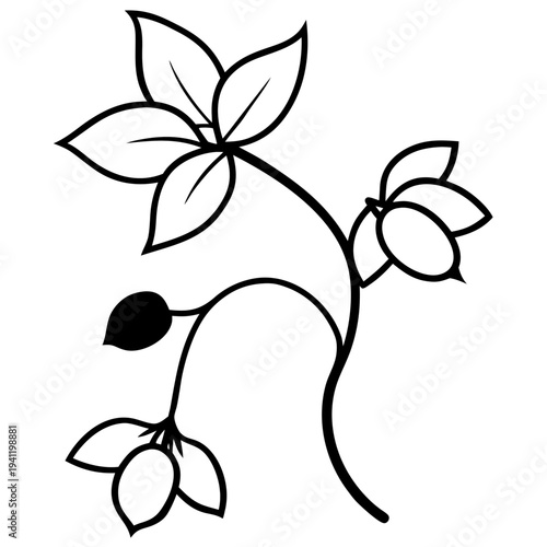 Minimalist jasmine vine line art growth hope illustration