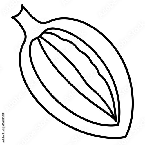 Hand drawn cocoa pod sketch with natural seed texture illustration