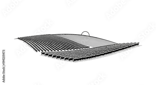 Stylized monochromatic illustration of an expansive vineyard landscape under a distant horizon