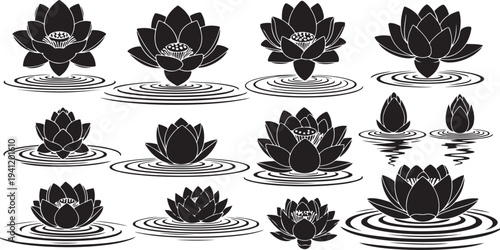 Black and white lotus flowers on water surface illustration