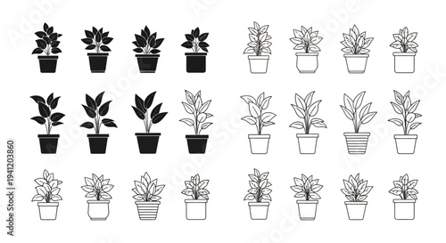 Collection of potted plants in varying styles and arrangements