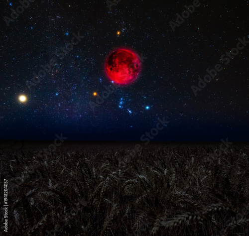 Harvest Moon illuminating wheat field.