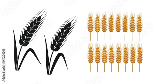 Illustration of wheat stalks in black and gold tones side by side