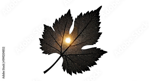 Luminous light pierces through the delicate dark silhouette of a botanical leaf against a pure