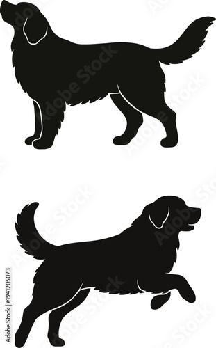 Bernese Mountain dog silhouettes set