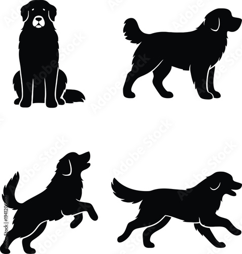 Bernese Mountain dog silhouettes set