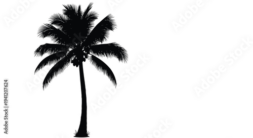 Silhouetted palm tree against a bright white background tropical vegetation