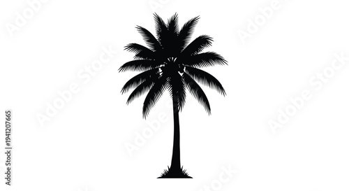 Silhouetted palm tree against a stark white background tropical vegetation