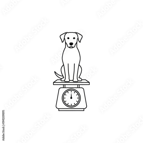 White dog sitting on a weighing scale with a dial isolated on a transparent background measurement