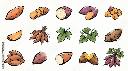 A vibrant watercolor illustration showcasing a diverse collection of sweet potatoes in various forms, including whole tubers, sliced pieces, and leafy greens.