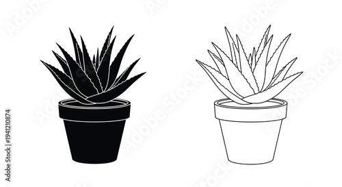 Two aloe vera plants in pots shown in a black and white line drawing