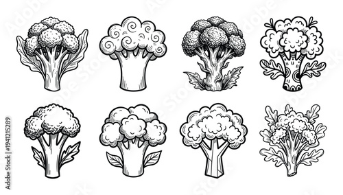 Fresh broccoli florets set with different shapes and textures in detailed linear style
