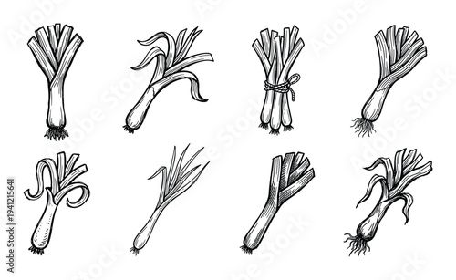 Leek hand drawn sketch set on transparent background, fresh green vegetables for cooking, culinary ingredient collection